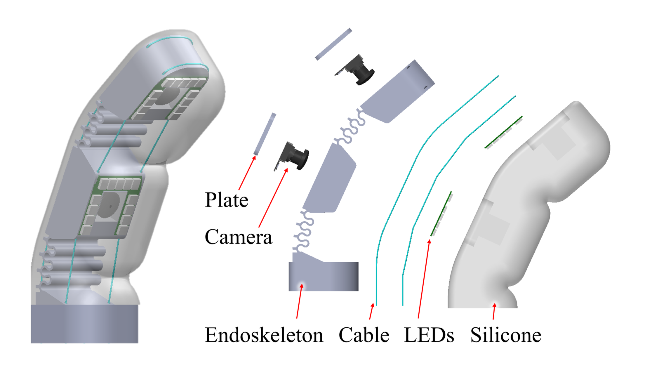 Endoflex diagram