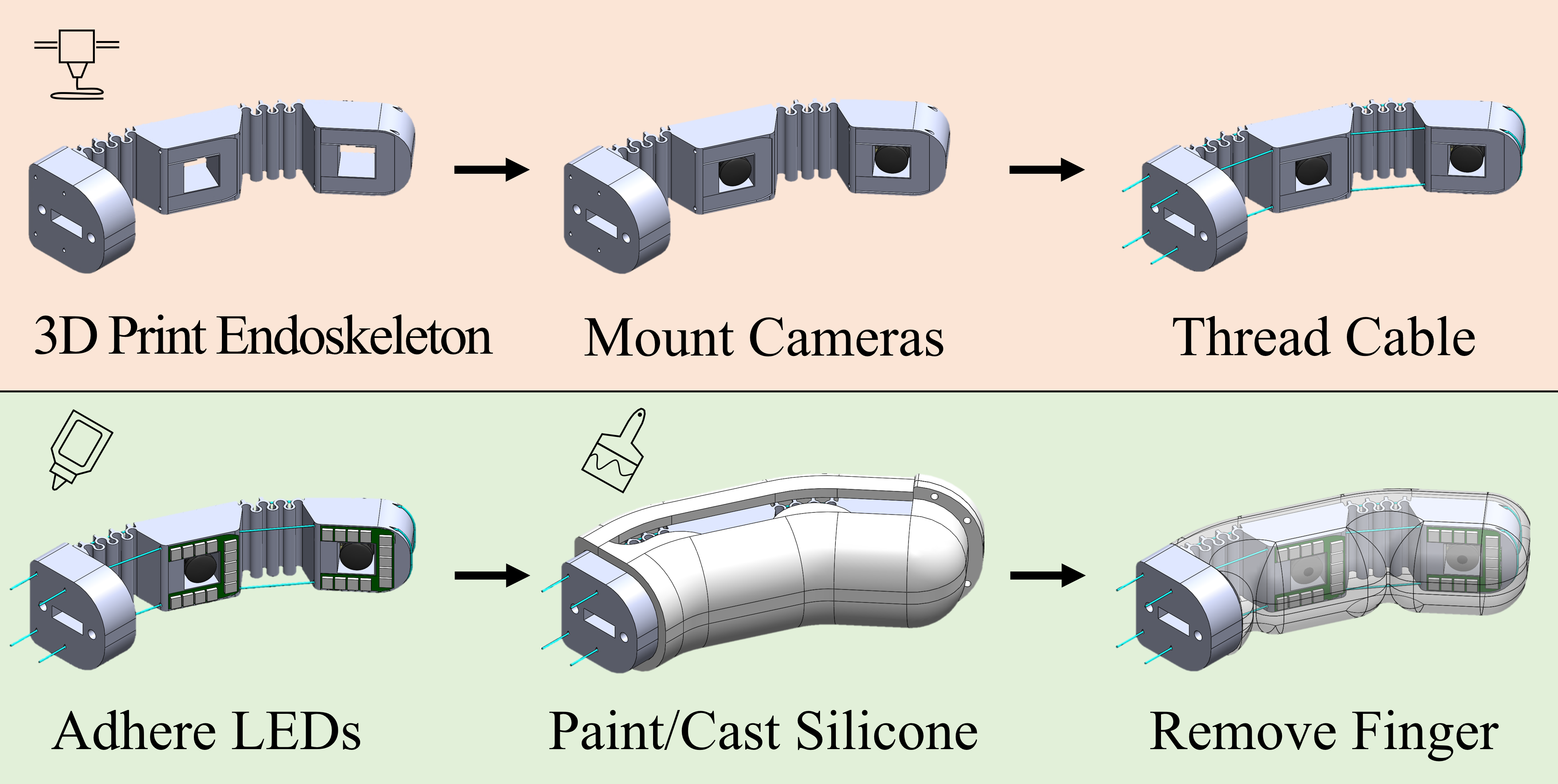 Endoflex fab